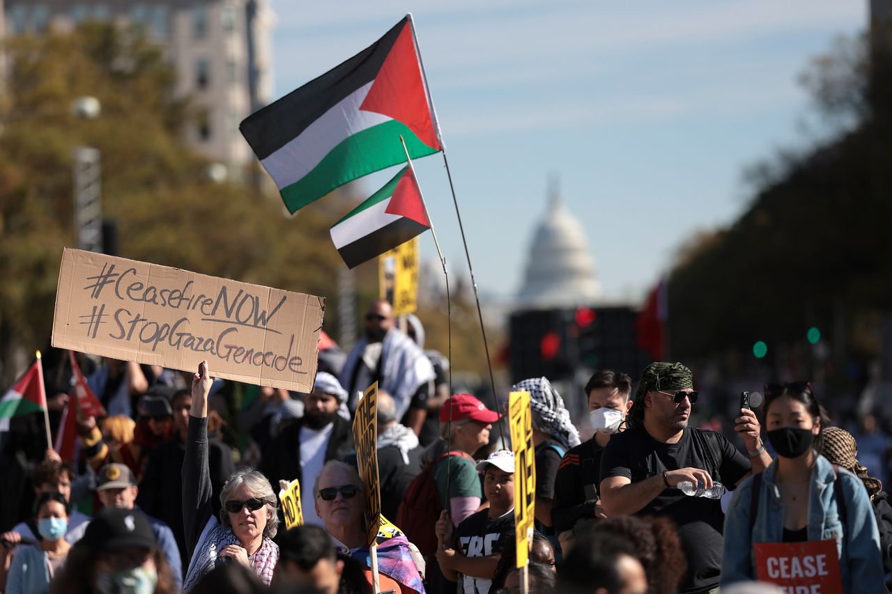 Protesters are seen at Freedom Plaza with Palestinian flags.
