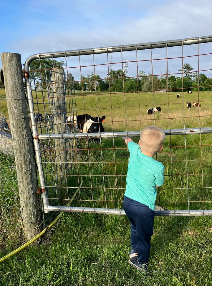 Logan exploring a farm.