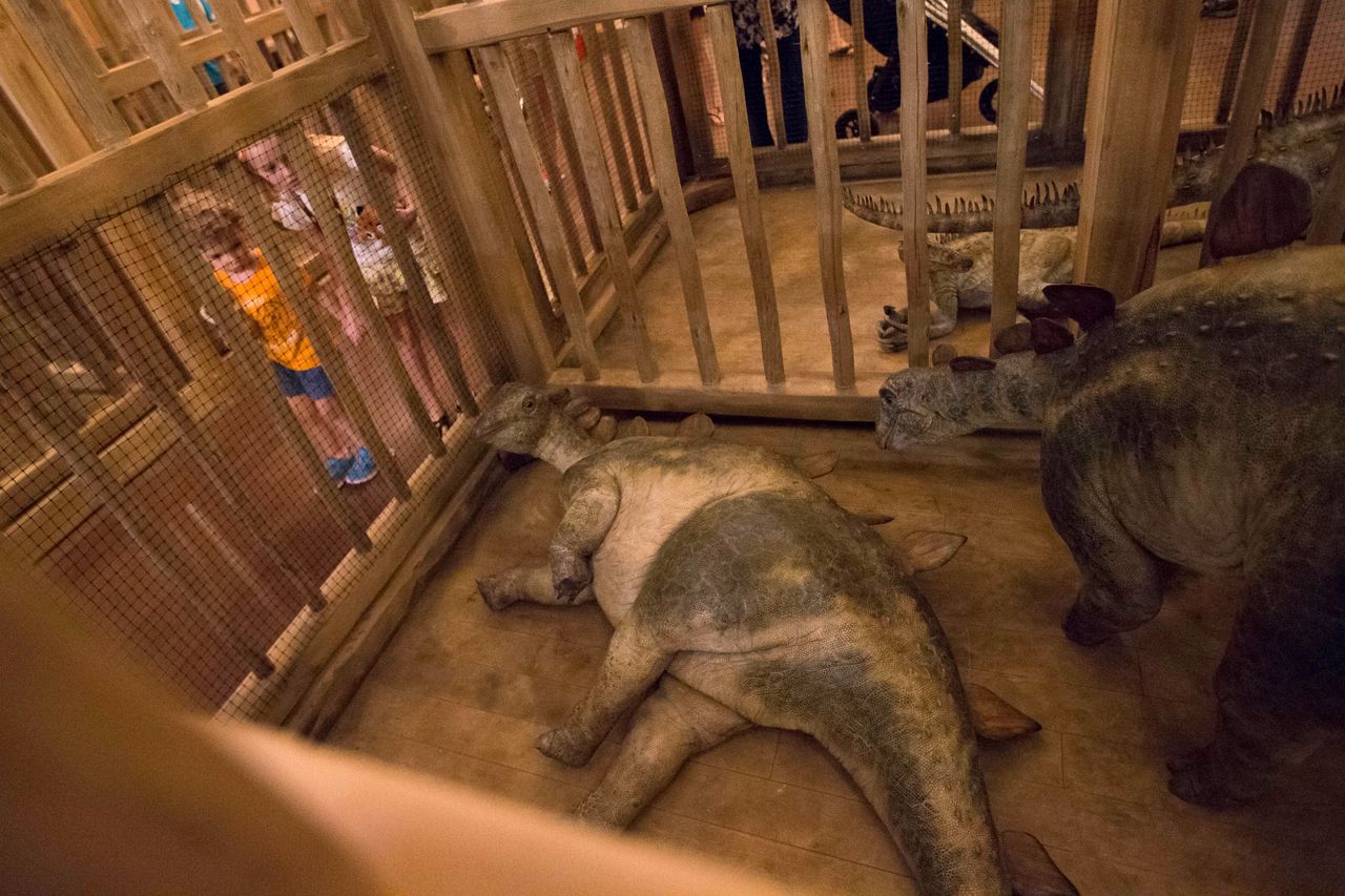 Children look into a cage containing model baby dinosaurs inside a replica Noah's Ark at the Ark Encounter theme park in Williamstown, Kentucky.