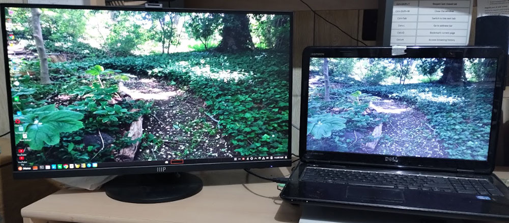 Monoprice 27-inch CrystalPro Productivity Monitor picture quality