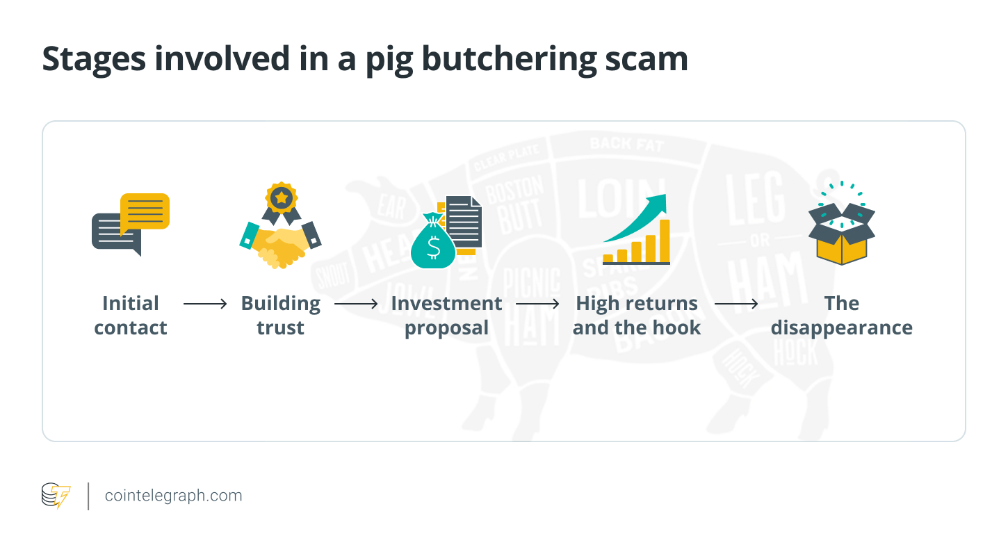 Stages Involved Pig Butchering