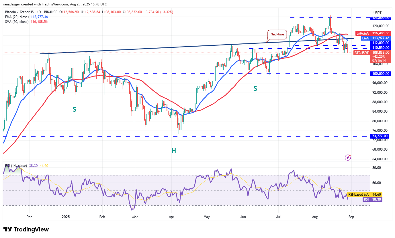 Dogecoin, Cryptocurrencies, Bitcoin Price, Christmas, XRP, Markets, Cryptocurrency Exchange, Cardano, Price Analysis, Binance Coin, Chainlink, Market Analysis, Ether Price, Solana, Ethereum ETF, Bitcoin ETF, ETF, SUI