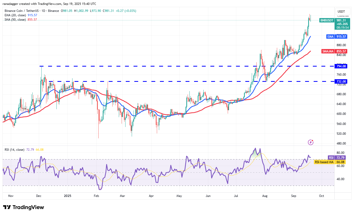 Dogecoin, Cryptocurrencies, Bitcoin Price, XRP, Markets, Cryptocurrency Exchange, Cardano, Price Analysis, Binance Coin, Chainlink, Market Analysis, Ether Price, Solana, Avalanche