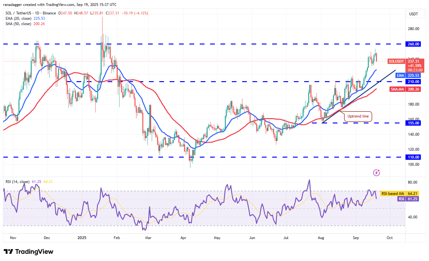 Dogecoin, Cryptocurrencies, Bitcoin Price, XRP, Markets, Cryptocurrency Exchange, Cardano, Price Analysis, Binance Coin, Chainlink, Market Analysis, Ether Price, Solana, Avalanche
